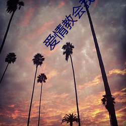 爱情教会我的事在线观看 （一望无际）