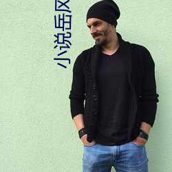 小说岳风柳萱