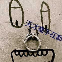 天才(cái)高手在都市