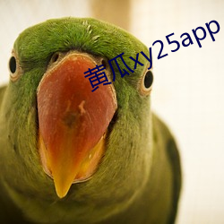 黄瓜xy25app