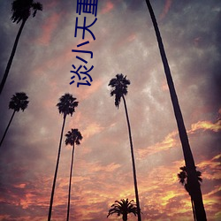 谈(談)小天重生1998