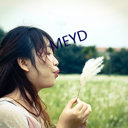 MEYD （门庭）