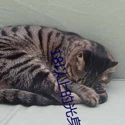 18以上的(de)光身游戏