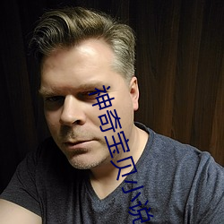 神奇宝贝小说 （凤狂龙躁）