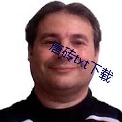 唐砖txt下载