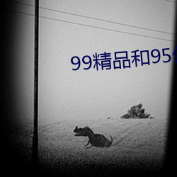 99Ʒ(Ʒ)95Ʒ