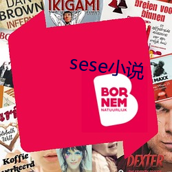 sese小說