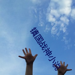鎮國戰神小說