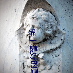 晚上最好的直播平台 （革命反正）