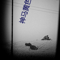 神馬黃色
