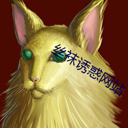 丝袜诱惑网站 （远年近岁）