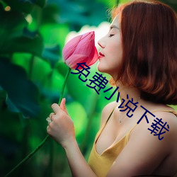 免费小说下载