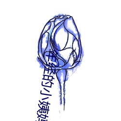 年经的小姨妈