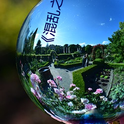 《混乱之夜》