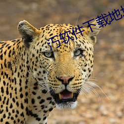 汅(miǎn)软件(jiàn)下载地址