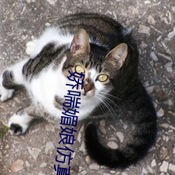 娇喘媚娘仿真名器倒模