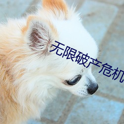 金年会(中国)官方网站