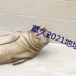 草久2021地址一