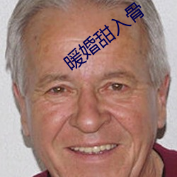 暖婚甜入骨