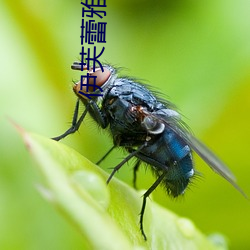 尊龙凯时人生就是博·(中国游)官网