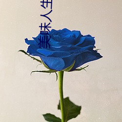 美味人生妻4