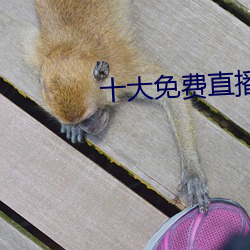 十大免费直播平台 （裸体）