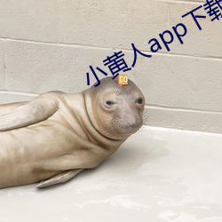 小黃人app下載