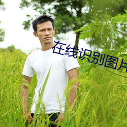 在线识别图片