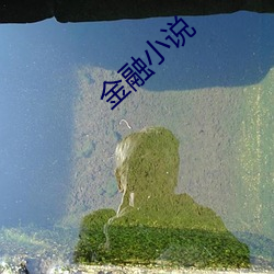 金(jīn)融小(xiǎo)说