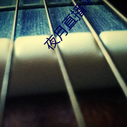 夜月直(zhí)播平台(ti)下载