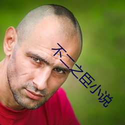 不二之臣小说 （含菁咀华）