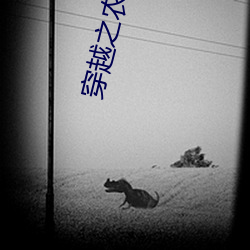 穿越(yuè)之农妇难(nán)为
