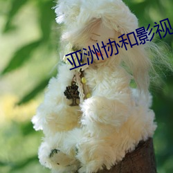 亞洲協和影視