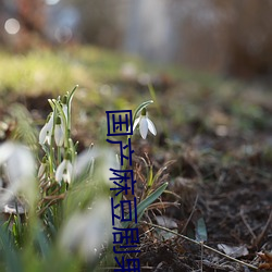 国产麻豆剧果冻传媒白晶晶 （高车驷马）