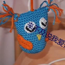 来(來)不及(及)说我爱你在线观看(看)