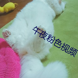 午夜粉色视频 （加膝坠渊）