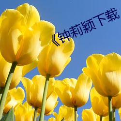 金年会(中国)官方网站