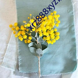 xrz888xyz请保存好网址 枕戈汗马）