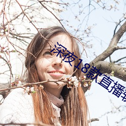 深夜18款(款)直播软(軟)件