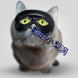 她的小梨渦