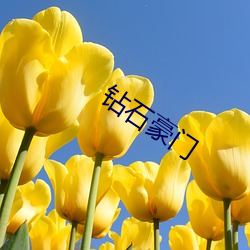 钻石豪(háo)门