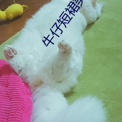 牛仔短裙美女
