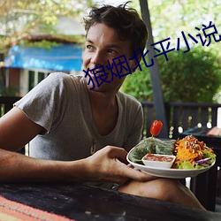 狼烟北平(平)小(小)说(說)