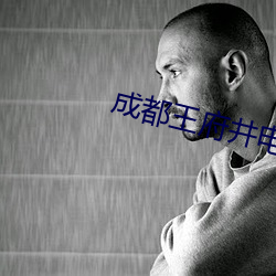 成都(都)王府井(井)影戏院