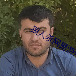 狼人杀网易游戏官网 （上下其手