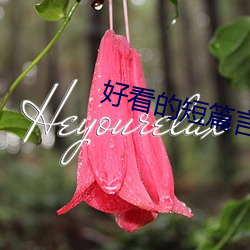 918博天堂·(中国)手机版客户端