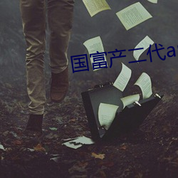 国富产二代app网页进入 镂冰炊砾）