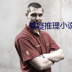 悬疑推理小说 （好为人师