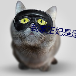 我家王妃是逗比