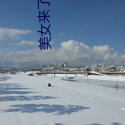 美(美)女来了(了)视频